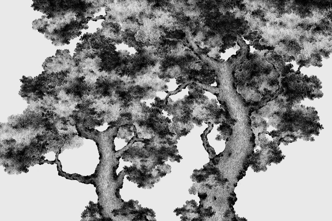 Detailed monochrome drawing of two large trees with dense foliage against a bright background, showcasing intricate textures and artistic style.
