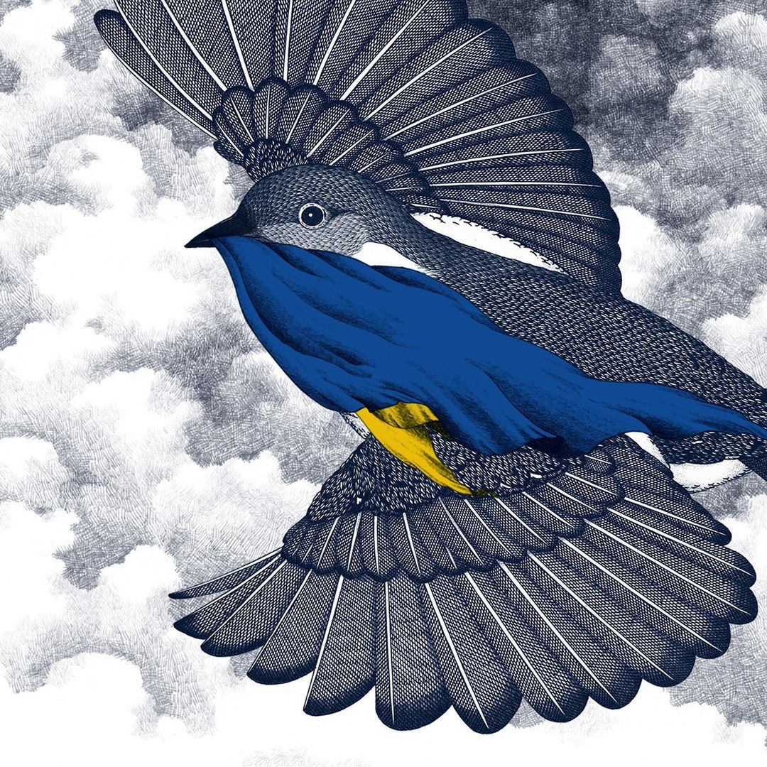 Detailed illustration of a blue and grey bird in flight against a cloudy sky, showcasing intricate line work and color contrast.