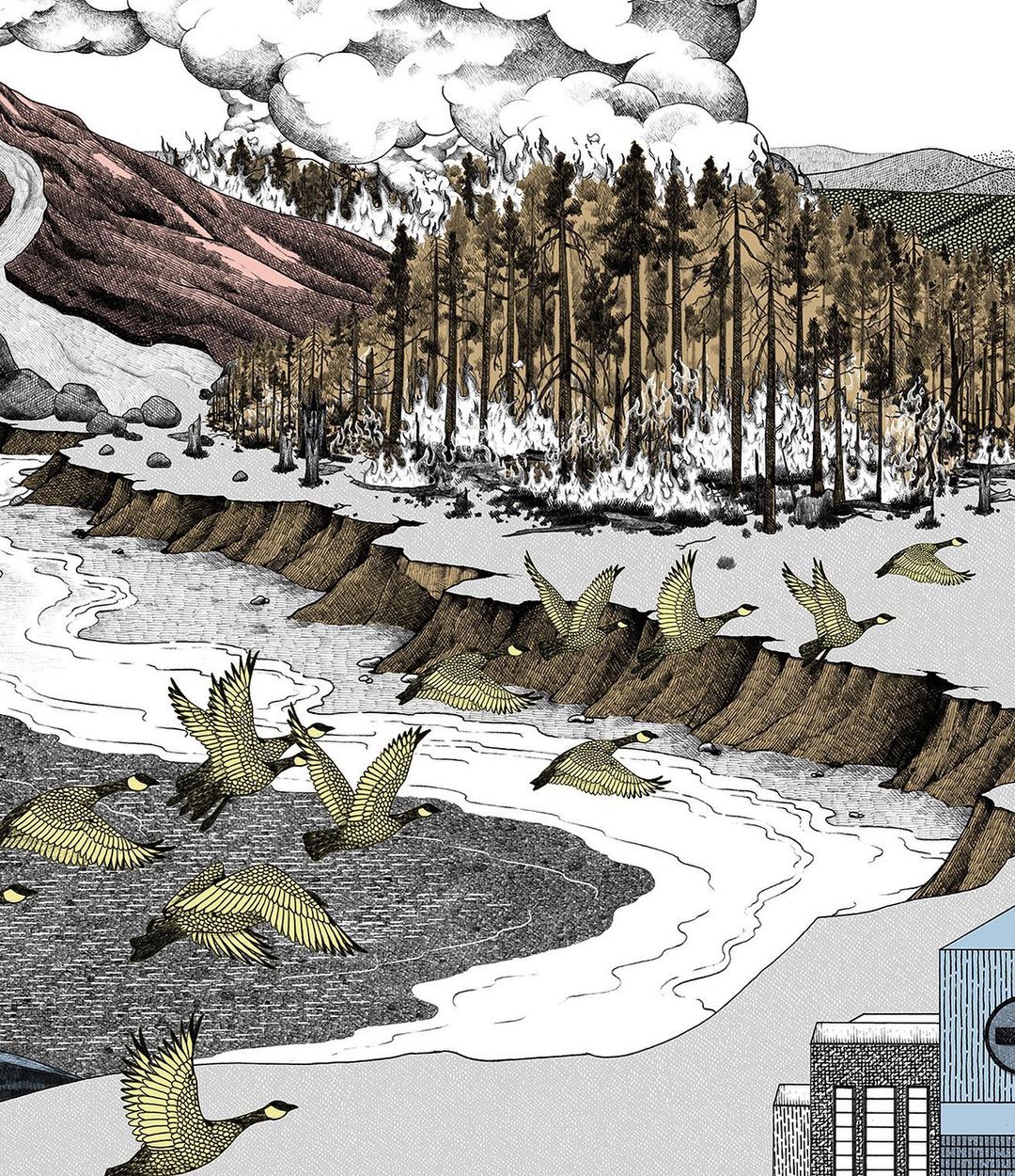 Illustration of a flock of geese flying over a river near buildings, with a mountain and forest in the background in a drawn style.
