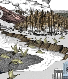 Detailed ink and stipple illustration by Suthipa Kamyam depicting a flock of Canada geese flying over a river past a burning forest.
