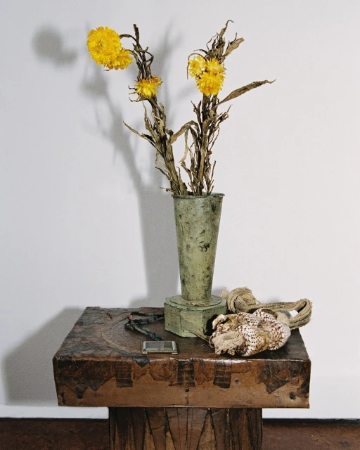 Suzannah Pettigrew