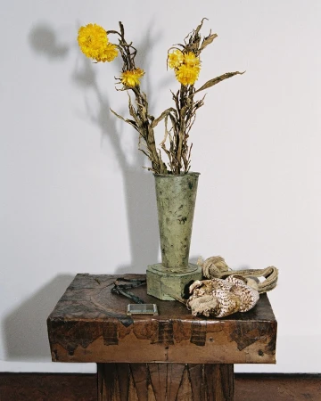 Suzannah Pettigrew