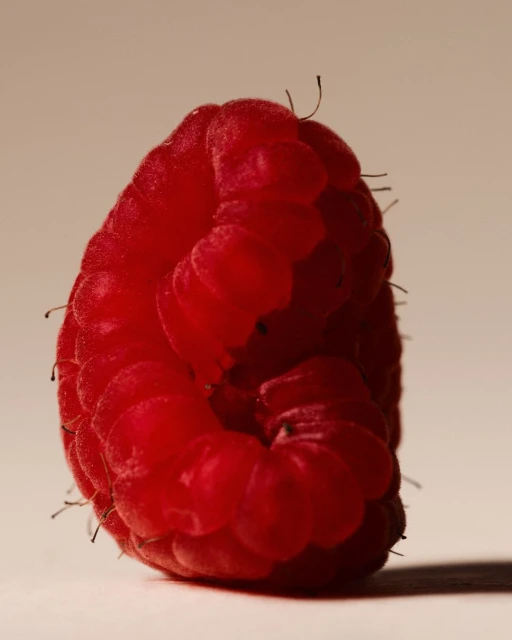 Close-up photograph of a fresh red raspberry with a textured surface, presented against a soft, neutral background with subtle shadow detail.