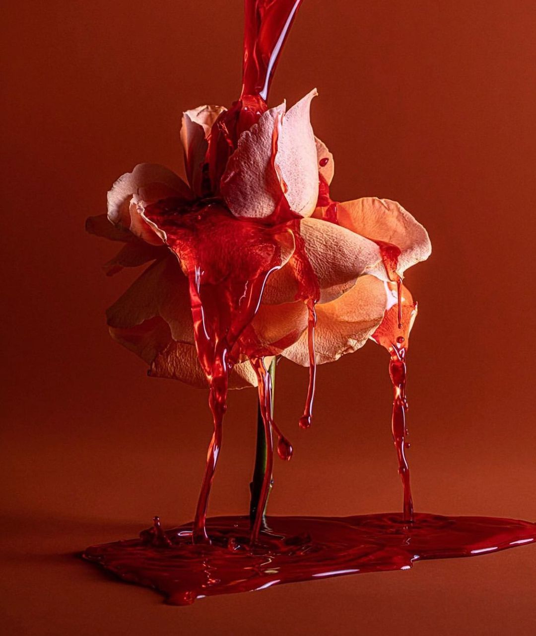 A rose flower with red liquid pouring over its petals, creating a dramatic and striking visual against a monochromatic background.