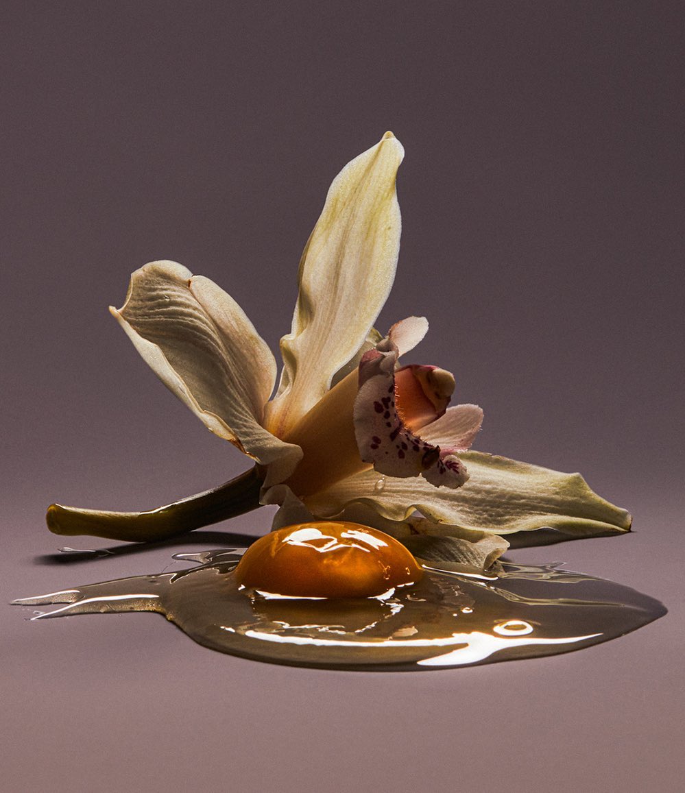 Still life photograph featuring an orchid blossom beside a cracked egg, set against a neutral background creating a contrast of nature and fragility.