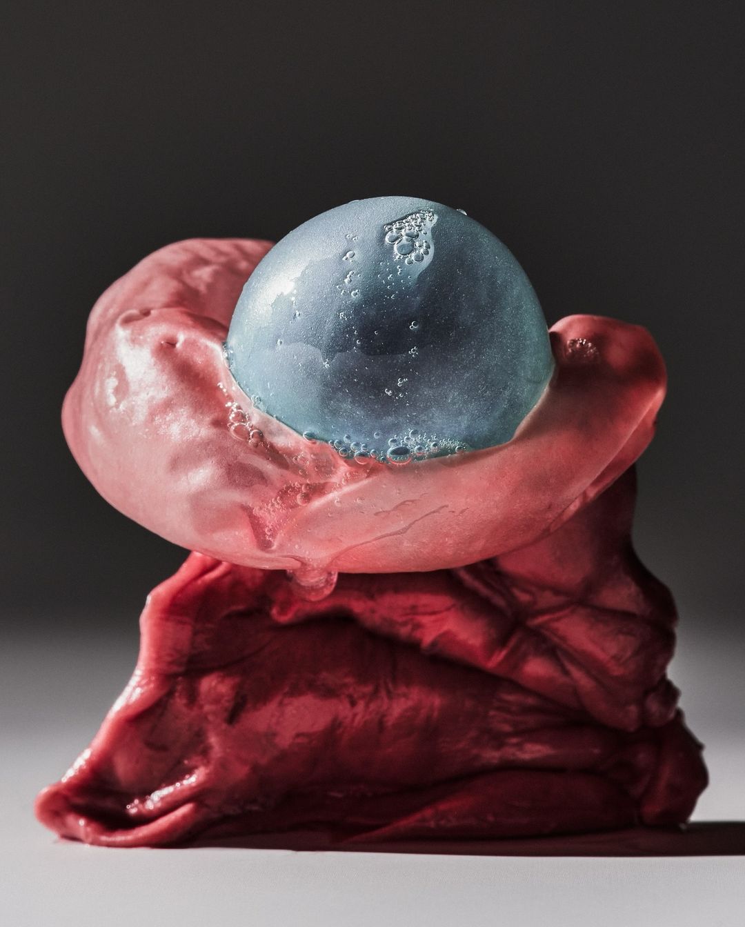 Abstract still life featuring a textured blue orb resting on layered pink and red formations against a neutral gray backdrop.