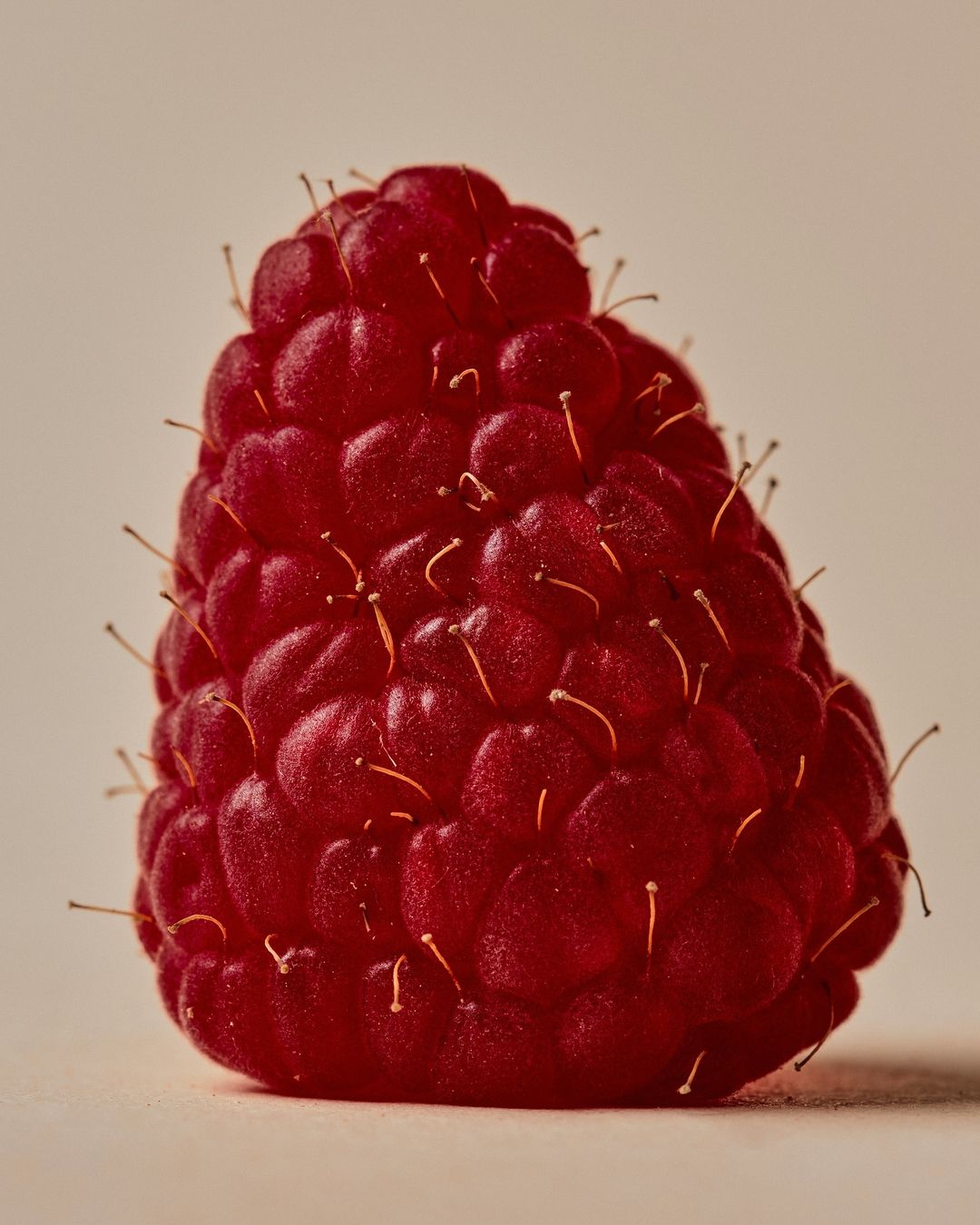 Close-up photo of a ripe red raspberry against a light background, highlighting its texture and color.