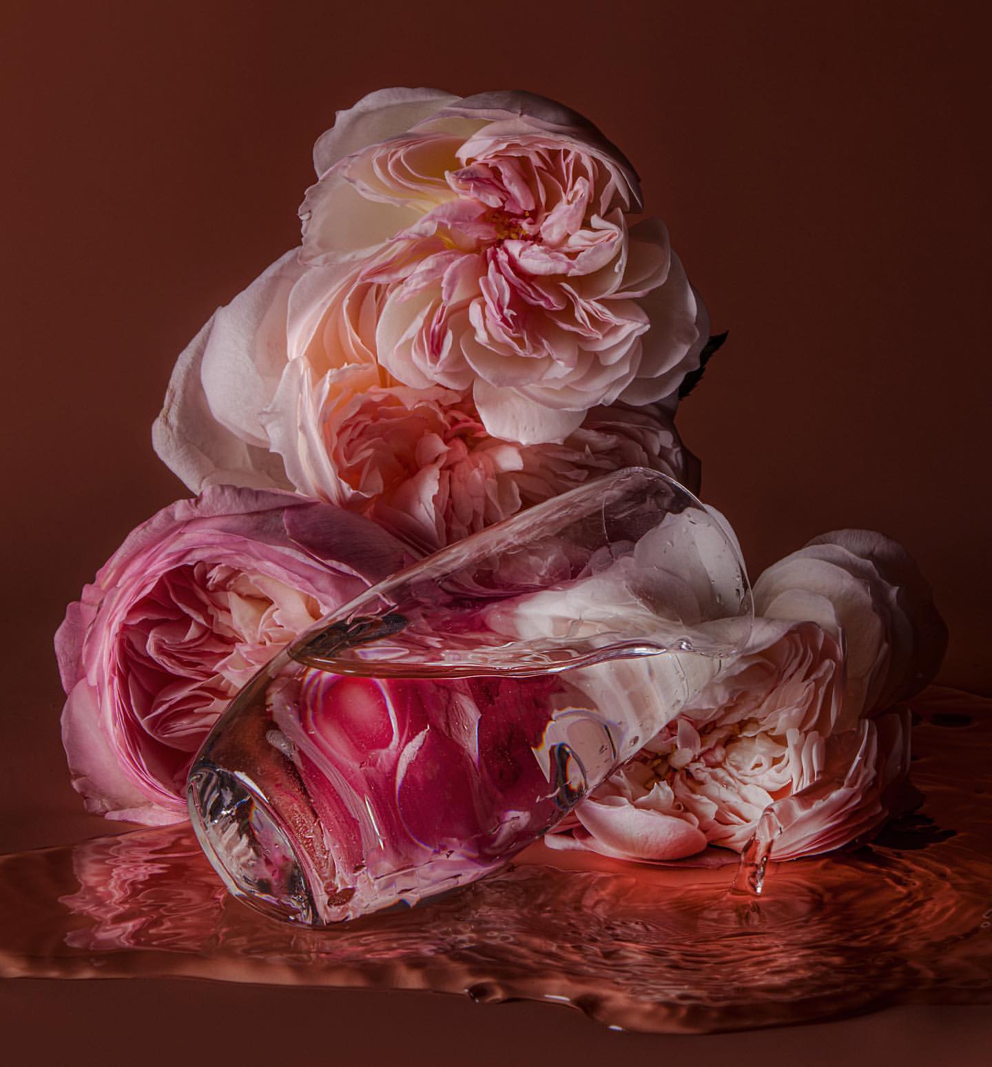 Floral still life featuring pink and white roses arranged around a clear glass object on a reflective surface against a warm brown background.