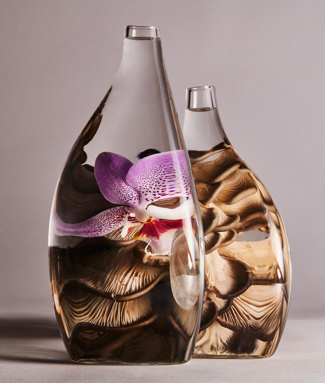 Two glass vases contain an orchid and abstract textures. The vases are in a light-grey setting with soft lighting.