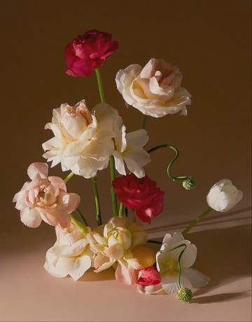 Floral arrangement featuring pink and white roses with green stems against a warm brown backdrop, creating a soft, natural aesthetic.