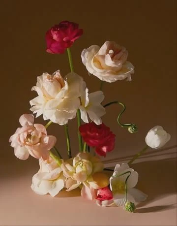 Floral arrangement featuring pink and white roses with green stems against a warm brown backdrop, creating a soft, natural aesthetic.