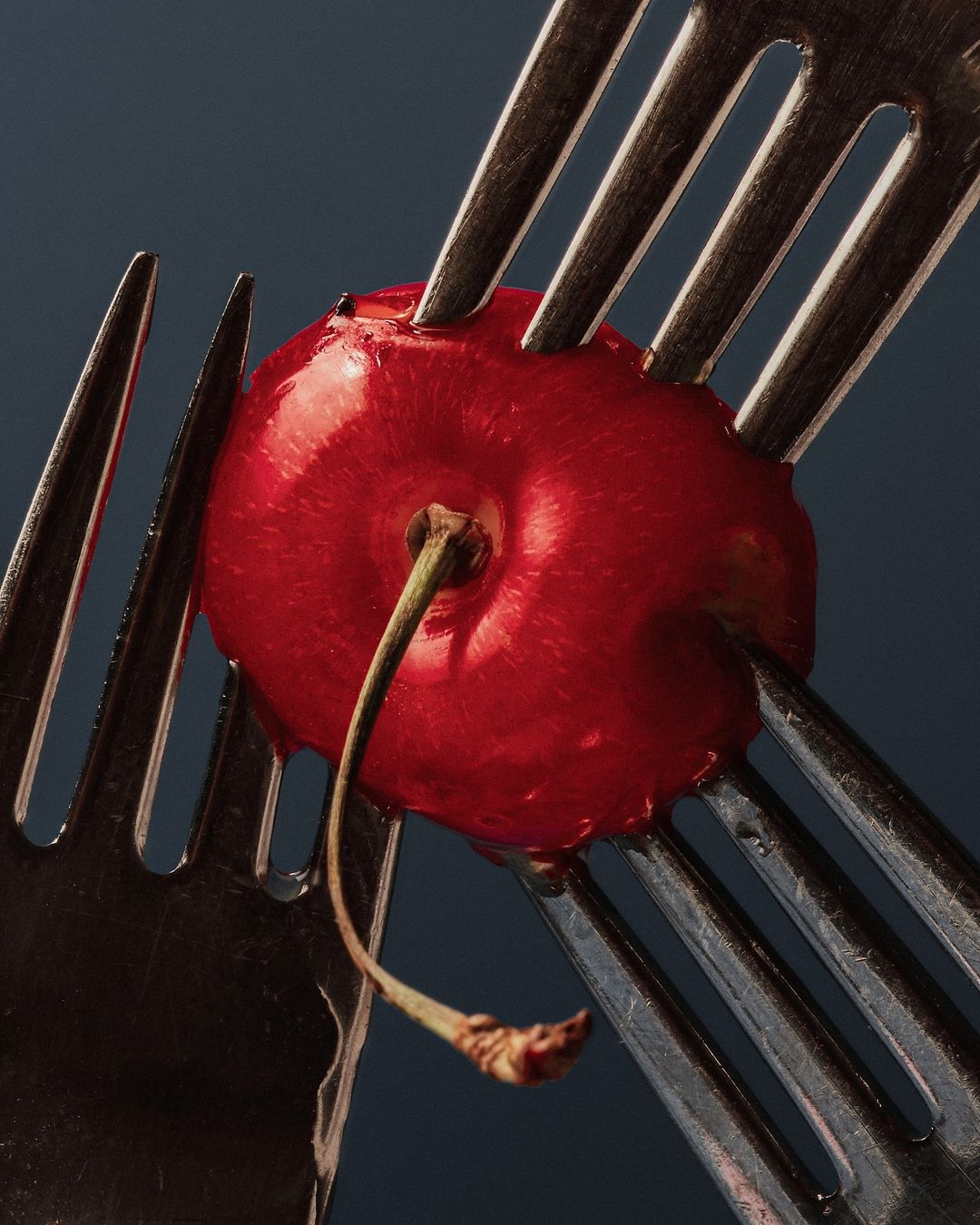 Close-up studio shot of a shiny, vibrant red cherry skewered by three silver forks against a dark blue background, still life.