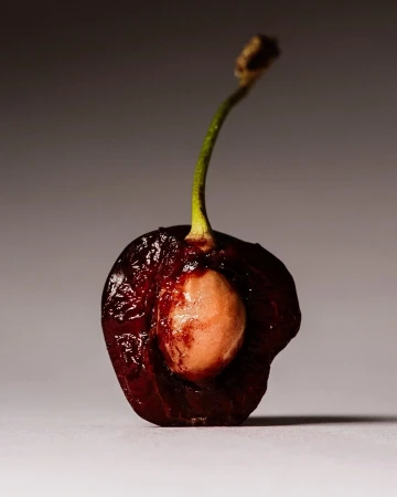 A detailed close-up of a halved dark cherry reveals its smooth pit. The fruit's stem is still attached, set against a gradient backdrop.