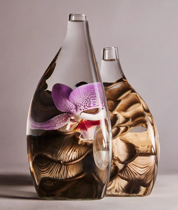 Two glass tear-shaped vases filled with water refracting a purple orchid and brown mushrooms against a grey studio backdrop.