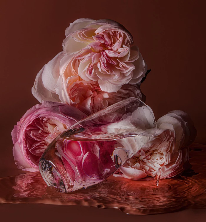 Close-up still life of pale pink garden roses arranged behind a tilted glass of water on a rich brown surface.