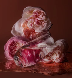 Close-up still life of pale pink garden roses arranged behind a tilted glass of water on a rich brown surface.