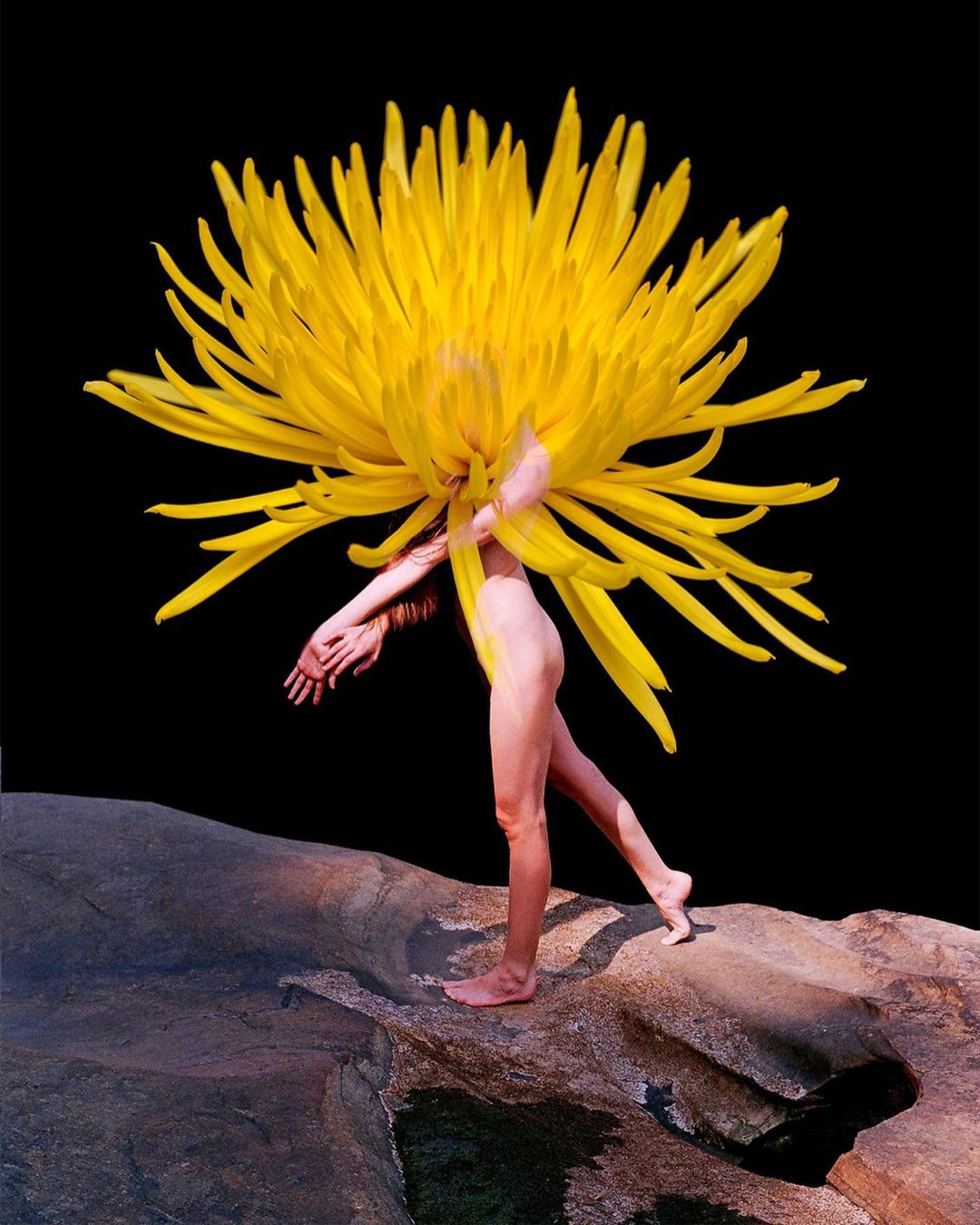 Artistic nude figure posing on a rocky surface, framed by a large yellow flower against a dark background in an artistic composition.
