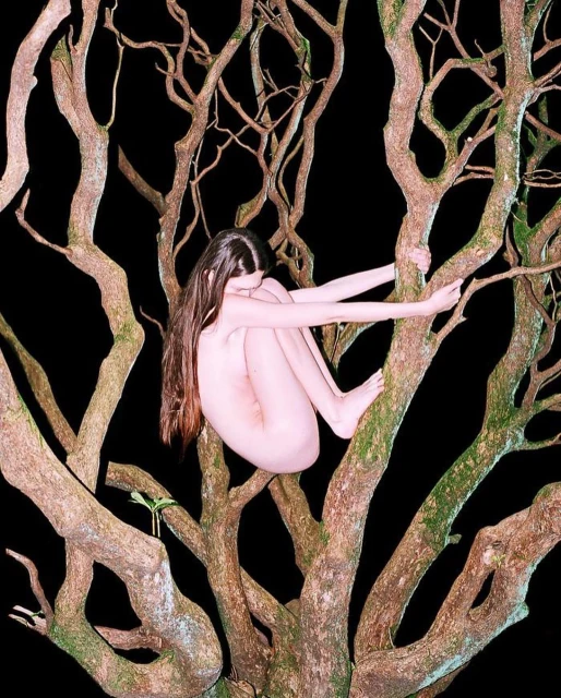 Nude woman with long hair is perched in a tree with bare branches against a black backdrop in a whimsical, fine art outdoor portrait.