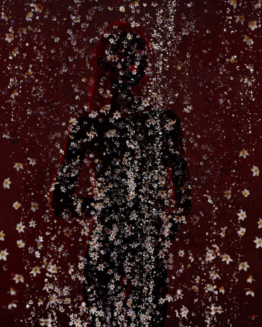 Artistic silhouette of a person obscured by a cascade of white floral patterns against a dark red backdrop, creating a textured effect.