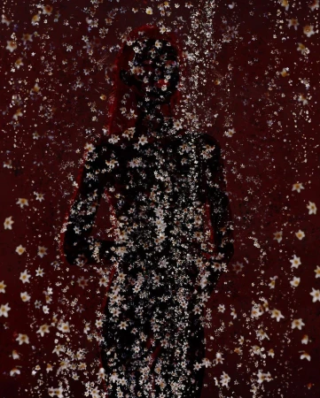 Artistic silhouette of a person obscured by a cascade of white floral patterns against a dark red backdrop, creating a textured effect.