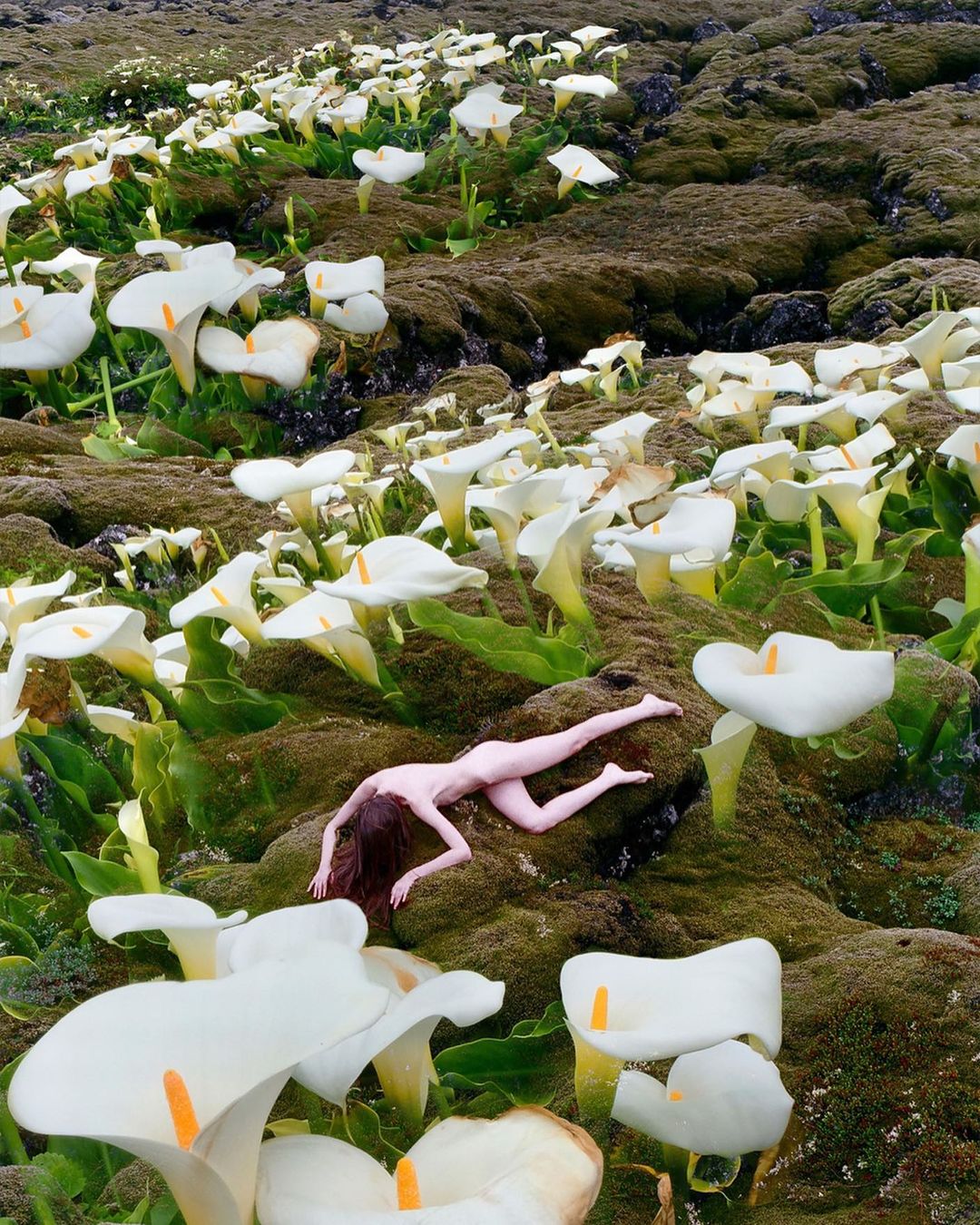 Adult woman lies on mossy ground surrounded by white calla lily flowers in outdoor setting during daytime, dreamy, surreal photo.