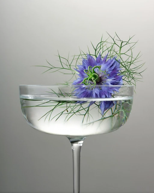 Close-up of a blue Nigella flower in a stemmed glass filled with water against a neutral background, floral still life, elegant presentation.