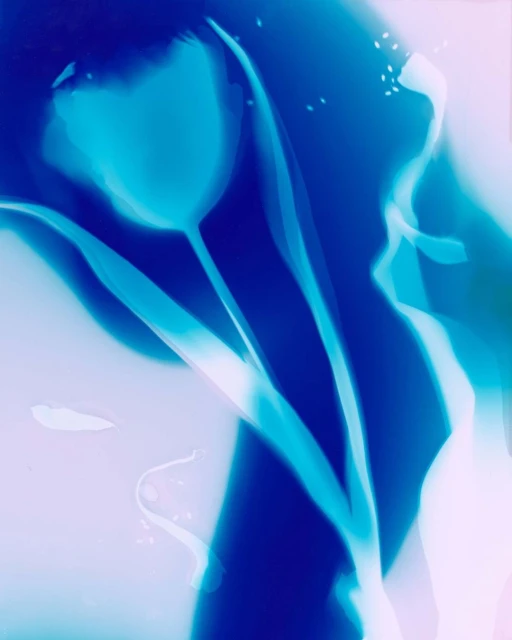 Dreamy, ethereal flower in full bloom with glowing teal and dark blue hues, set against a gradient lavender and white backdrop.