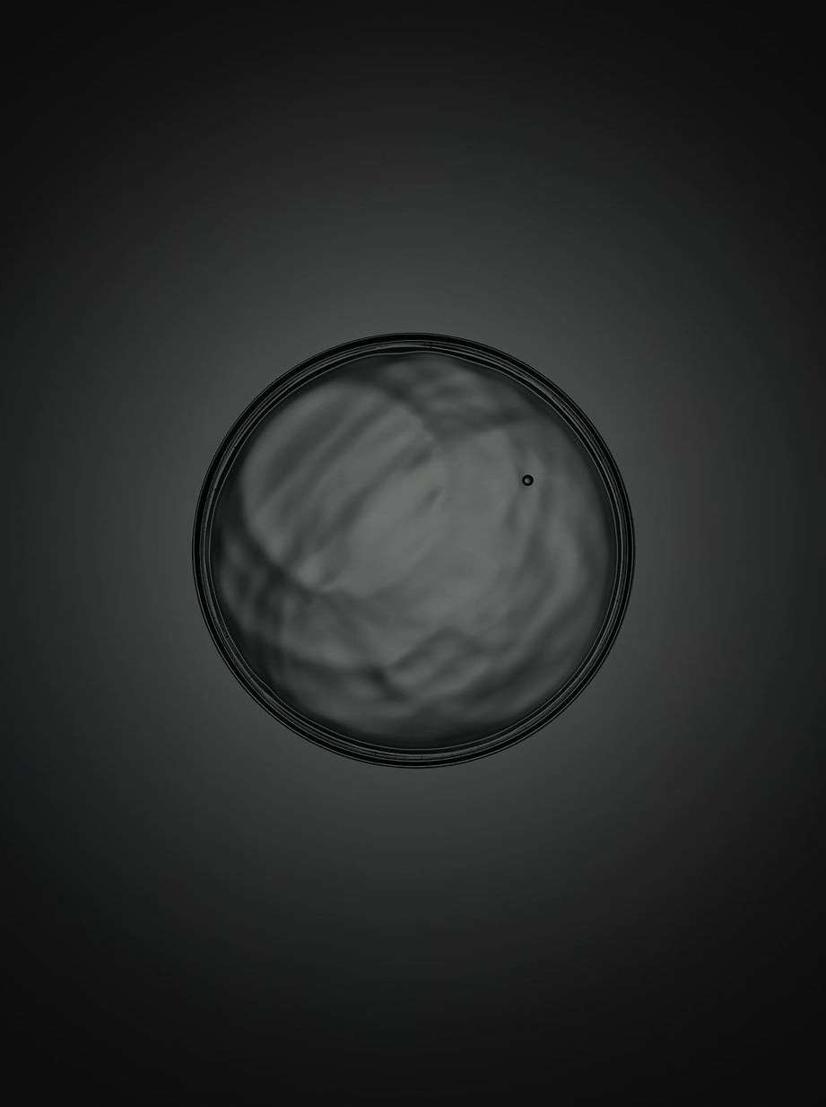 A petri dish filled with clear liquid on a dark background. The top-down view captures its scientific essence.