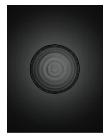 Taka Igarashi