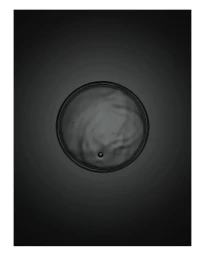 A circular black liquid surface centered within a dark monochromatic vertical frame.