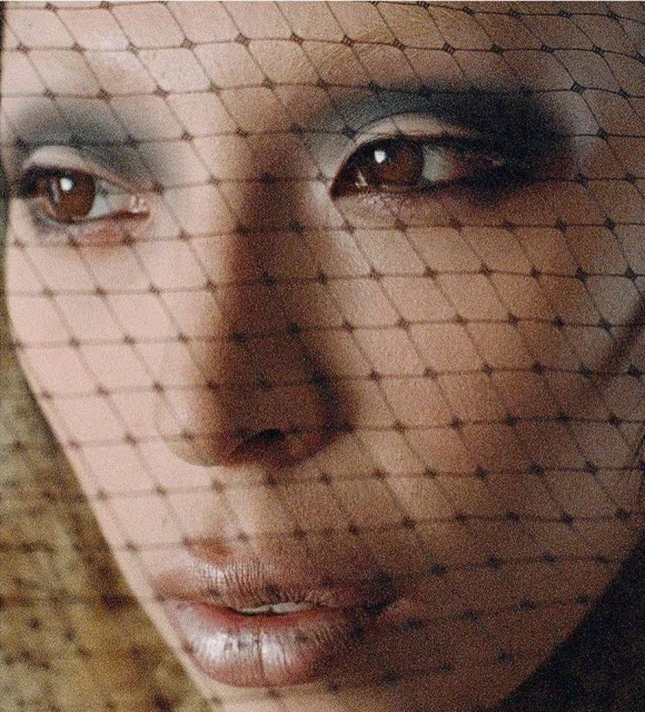 Close-up portrait of a woman with light skin, brown eyes, and dark eyeshadow, wearing a dark net veil over her face.