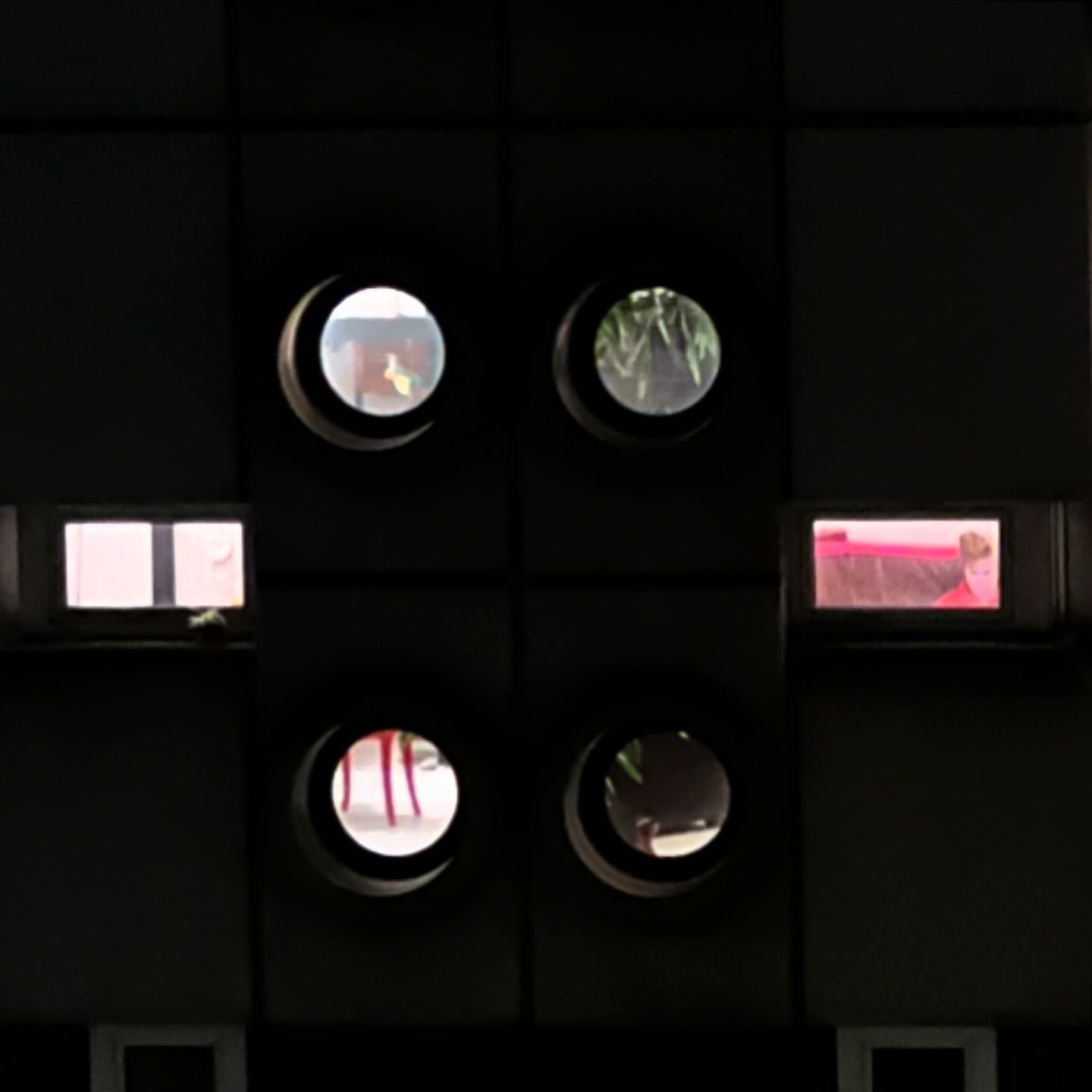 Architectural detail with round windows reveals glimpses of plants and people within a dark, textured wall panel.