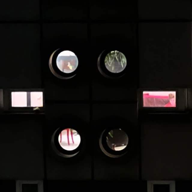Architectural detail with round windows reveals glimpses of plants and people within a dark, textured wall panel.