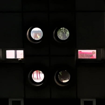 Architectural detail with round windows reveals glimpses of plants and people within a dark, textured wall panel.