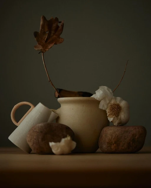 Still life of rustic kitchenware including a ceramic pitcher, mug, garlic bulbs, and stones on a wooden table in soft, neutral lighting.