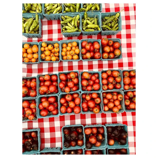 Overhead view of green peppers, yellow tomatoes, red tomatoes, and dark red tomatoes arranged in blue baskets on a red and white checkered cloth.