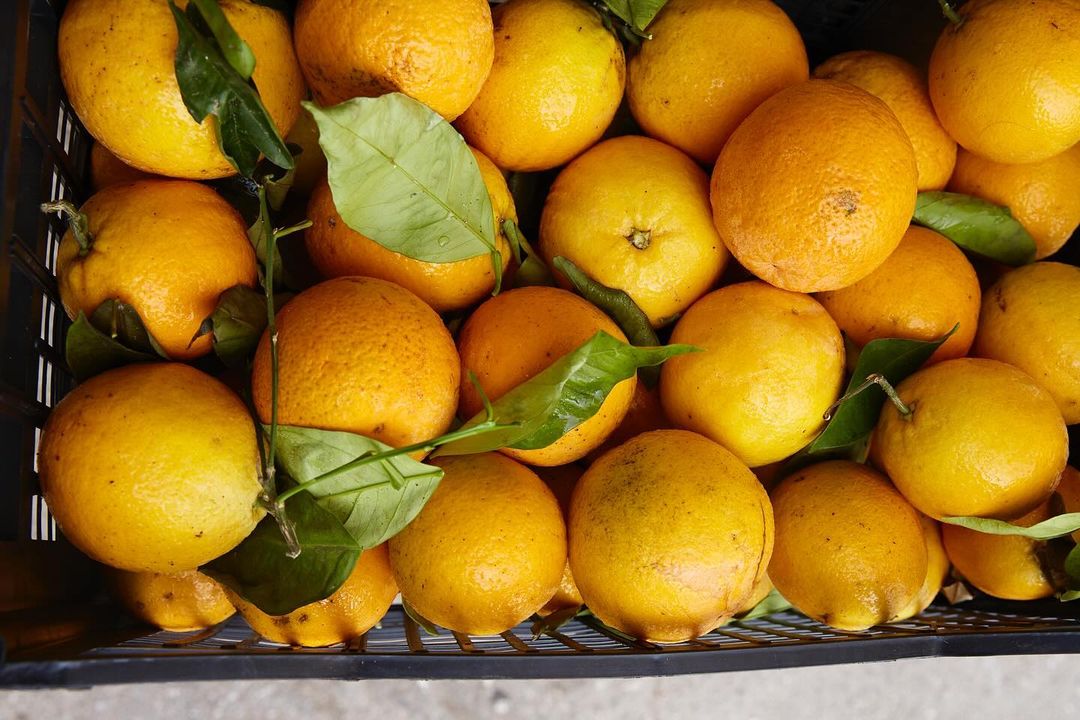 A bountiful heap of vibrant yellow and orange citrus fruits, nestled together with fresh green leaves, filling the frame of the image.