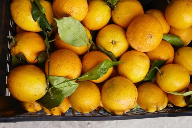 A bountiful heap of vibrant yellow and orange citrus fruits, nestled together with fresh green leaves, filling the frame of the image.