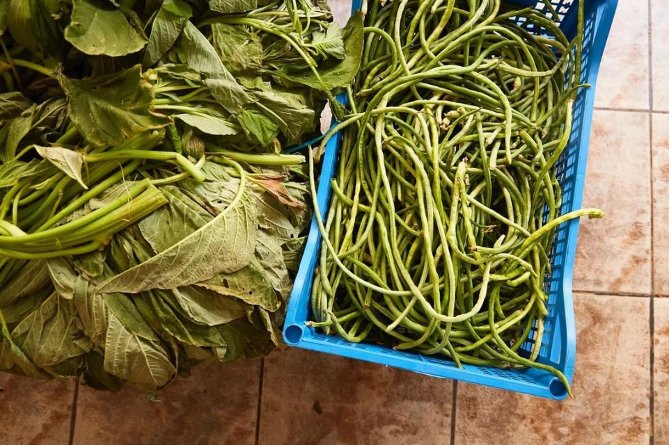 Overhead shot of leafy greens and long beans spilling from a blue basket, displayed on a tiled surface in an indoor setting.
