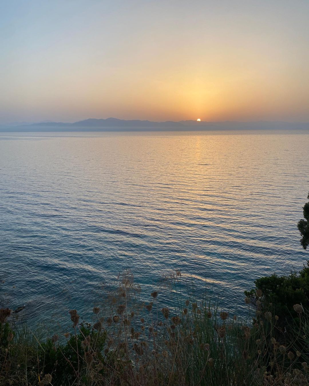 Ocean vista at dusk featuring a calm sea reflecting sunlight under a serene sky with distant land and foreground vegetation.