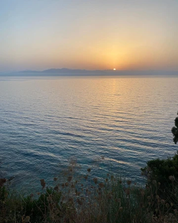 Ocean vista at dusk featuring a calm sea reflecting sunlight under a serene sky with distant land and foreground vegetation.