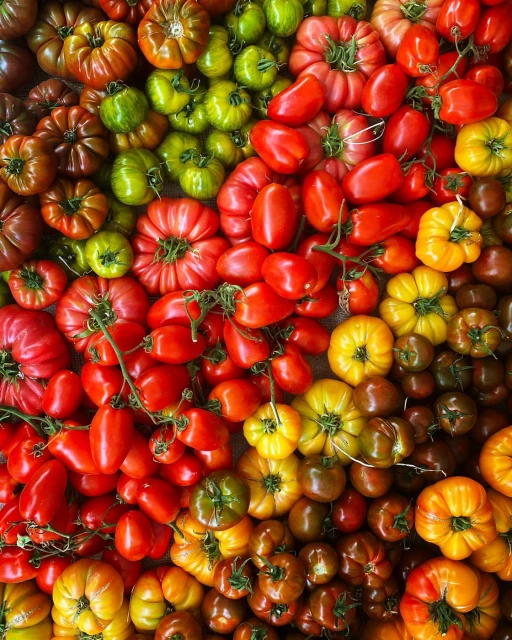 Overhead view of vibrant heirloom tomatoes in assorted colors: green, red, yellow, and brown create a colorful vegetable arrangement.