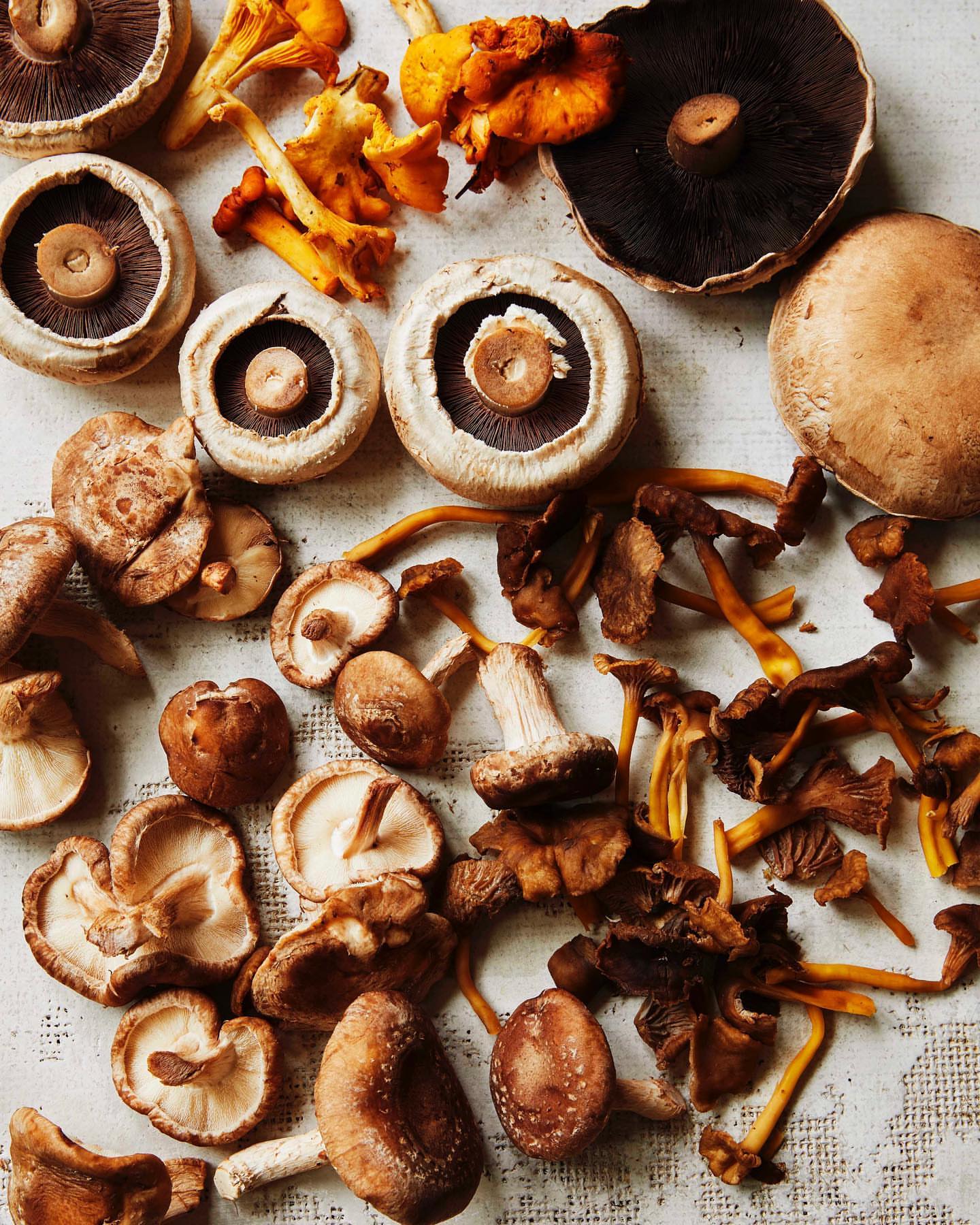 Assorted mushrooms, including shiitake, oyster, and portobello, are artfully arranged on a textured surface, creating a natural culinary display.