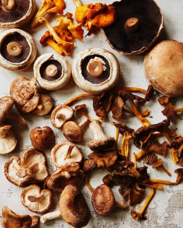 Assorted mushrooms, including shiitake, oyster, and portobello, are artfully arranged on a textured surface, creating a natural culinary display.