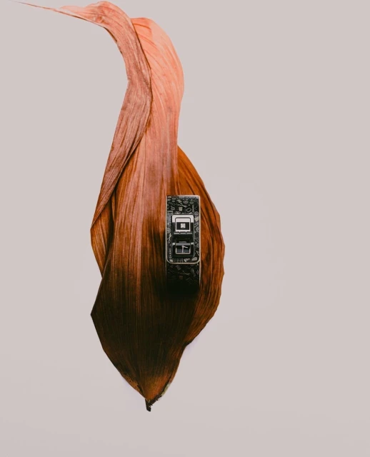 Wristwatch displayed on a dried leaf with a gradient of orange to brown in a studio setting with a light background, product shot.