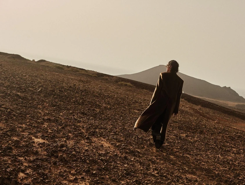 A person in a long coat walks across a rocky hillside, viewed from behind, with muted desert colors and mountain silhouettes.