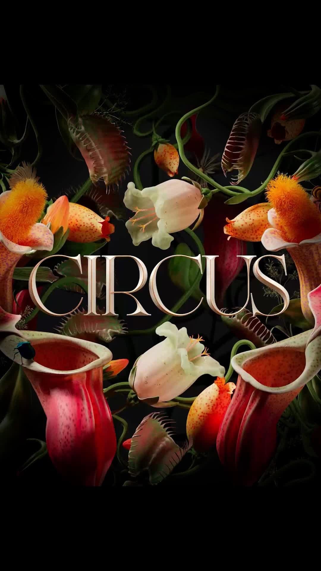 Botanical art featuring carnivorous pitcher plants and Venus flytraps with white flowers, against a dark background, and 'Circus' text overlay.