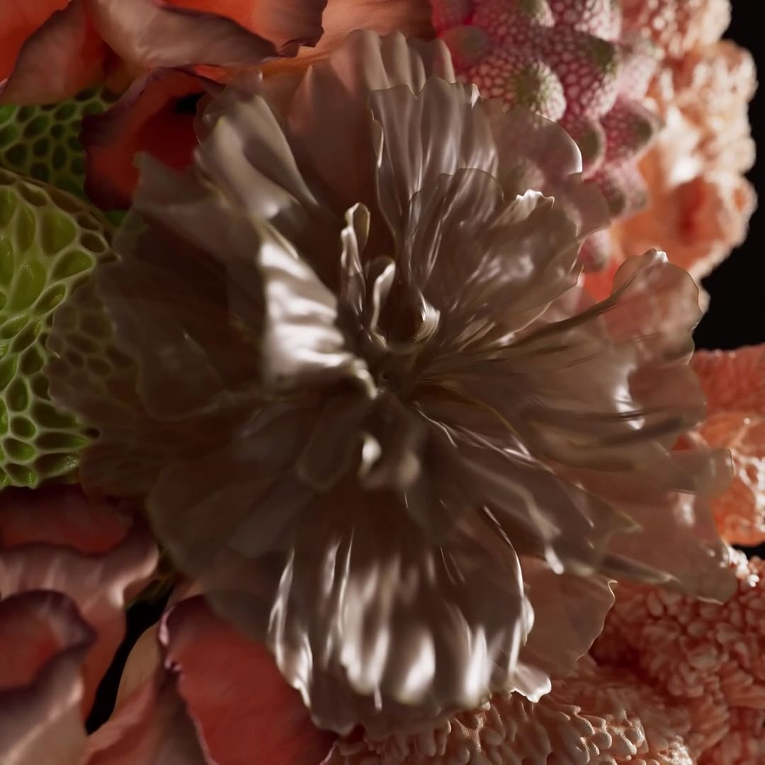 Macro shot of a tan flower in full bloom with textured petals, alongside coral-colored and green textured botanical elements.