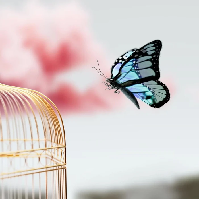 A blue butterfly flies out of an open golden birdcage against a soft white and pink background