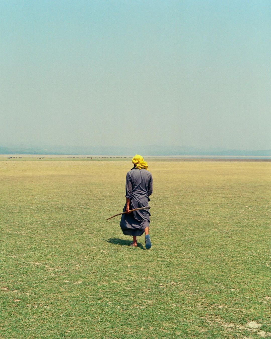 Person in headscarf walks through a grassy field toward a distant shore, with a hazy sky, carrying a long stick or branch.